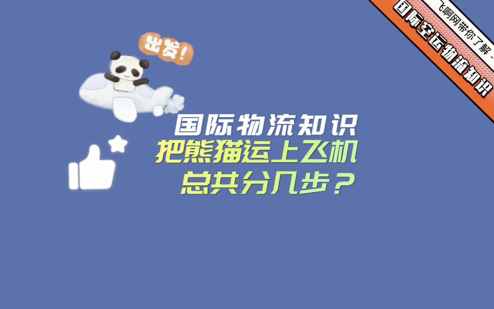 把熊猫运上飞机,总共分几步? 国际空运熊猫的那些知识|飞啊网哔哩哔哩bilibili