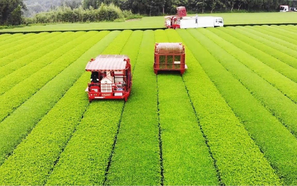 【机械】日本绿茶园  绿茶收获和加工哔哩哔哩bilibili