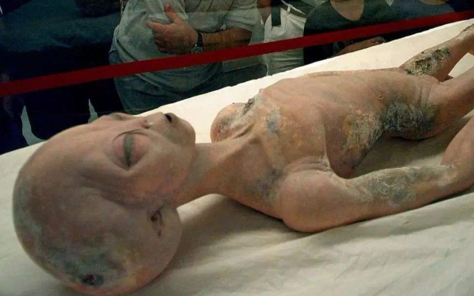 外星人合集 史上最残忍绑架外星人事件 老高与小茱 5岁抬头_哔哩哔哩