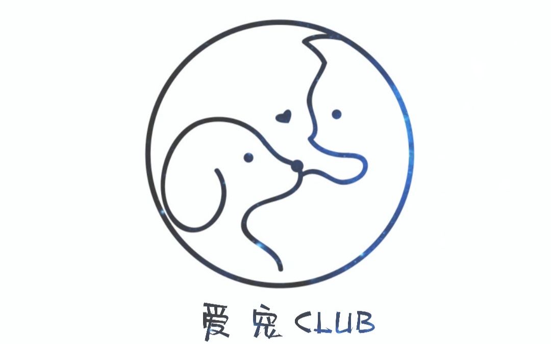 乘风破浪,我创我show!爱宠club冲冲冲