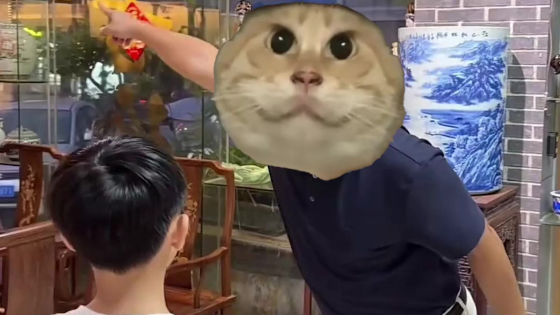 【哈基米音乐】哈基米说的道理：去酒吧看看