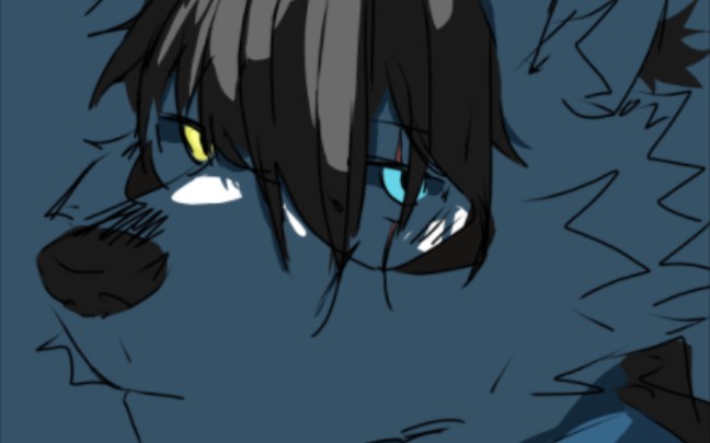 异瞳北极狼,卡阔依