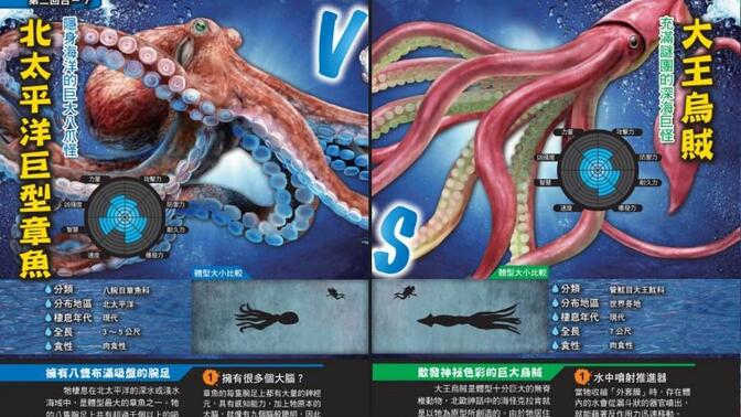 头足纲内战:北太平洋巨型章鱼vs大王乌贼