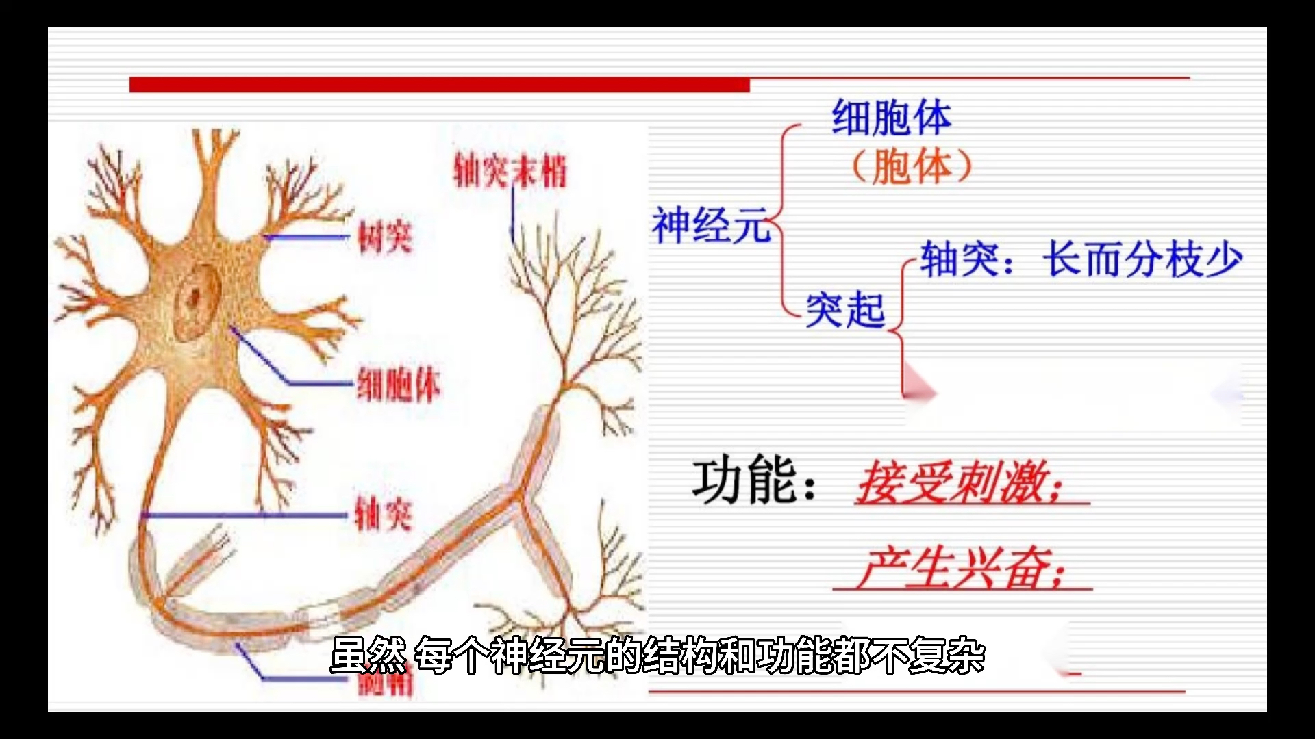 什么是神经网络模型哔哩哔哩bilibili