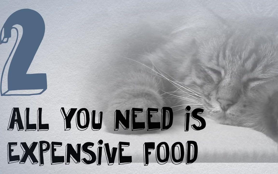 【安迪洛克医生7】3 dog food myths that need to be busted