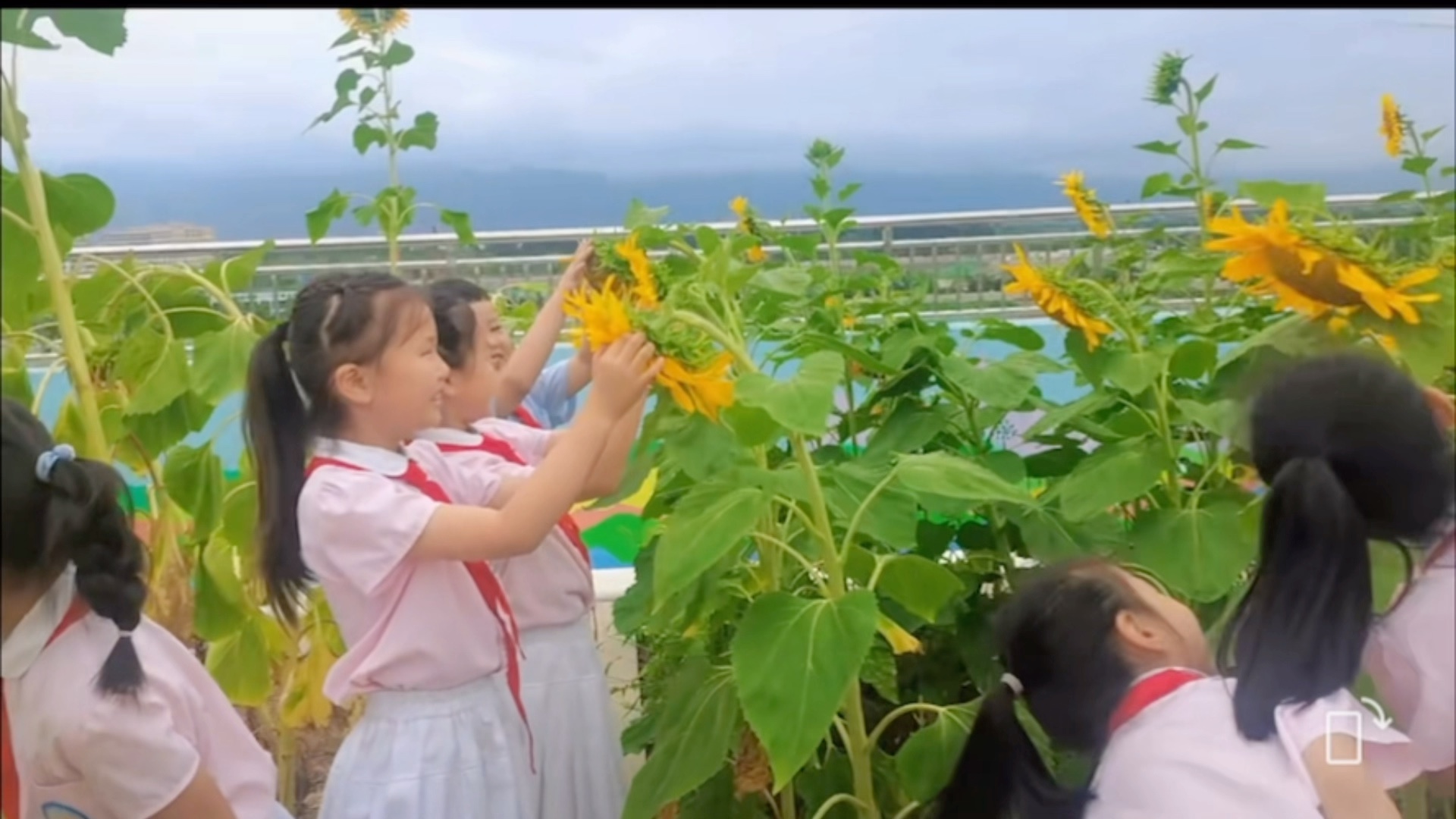 [图]秦美园内洒汗水 爱惜粮食不剩饭