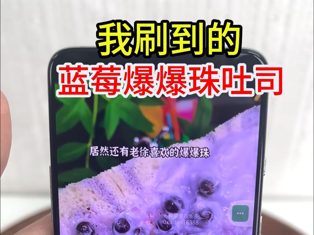 蓝莓爆爆珠吐司测评哔哩哔哩bilibili