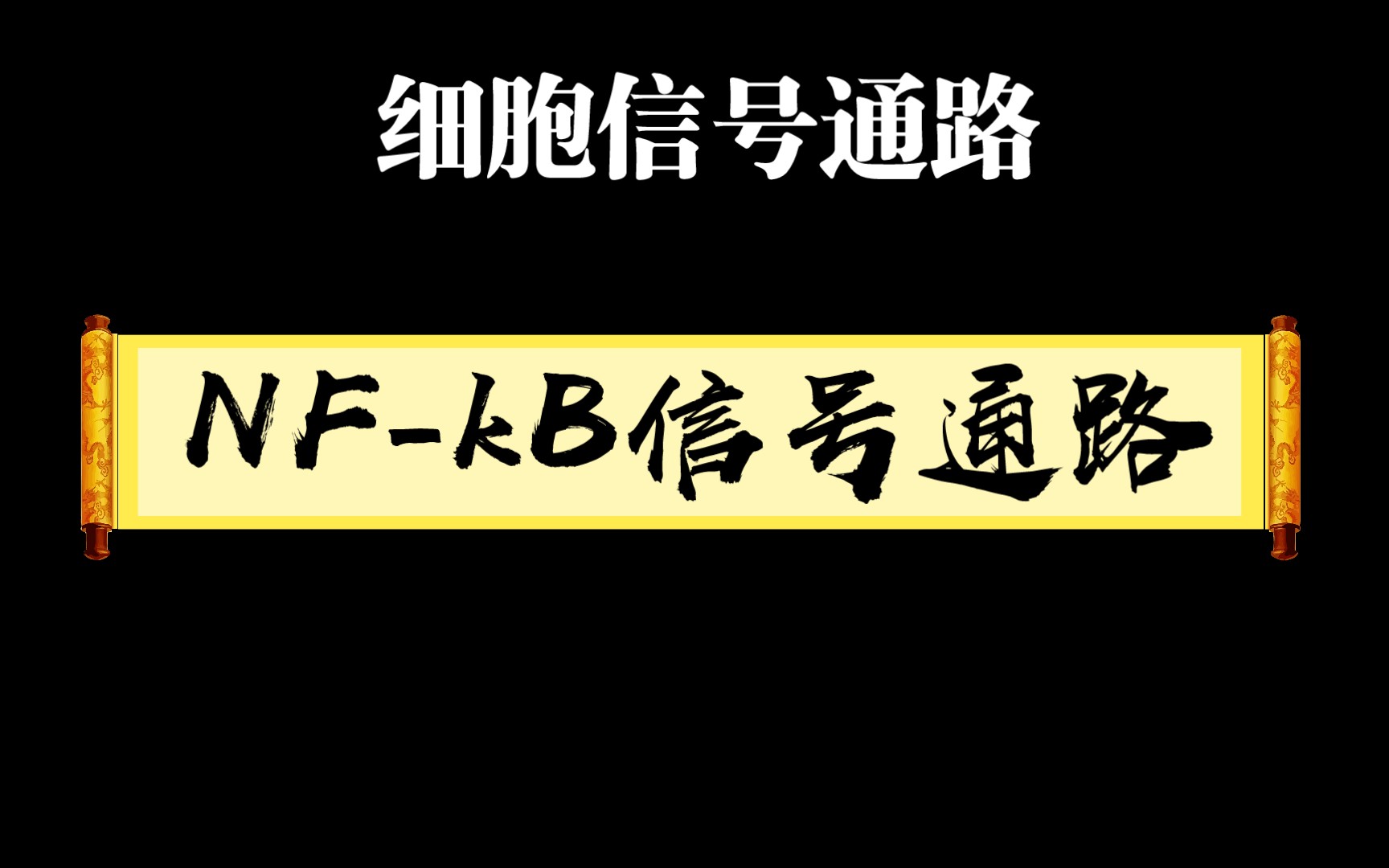 细胞信号通路系列10一NFkB from KEGG哔哩哔哩bilibili