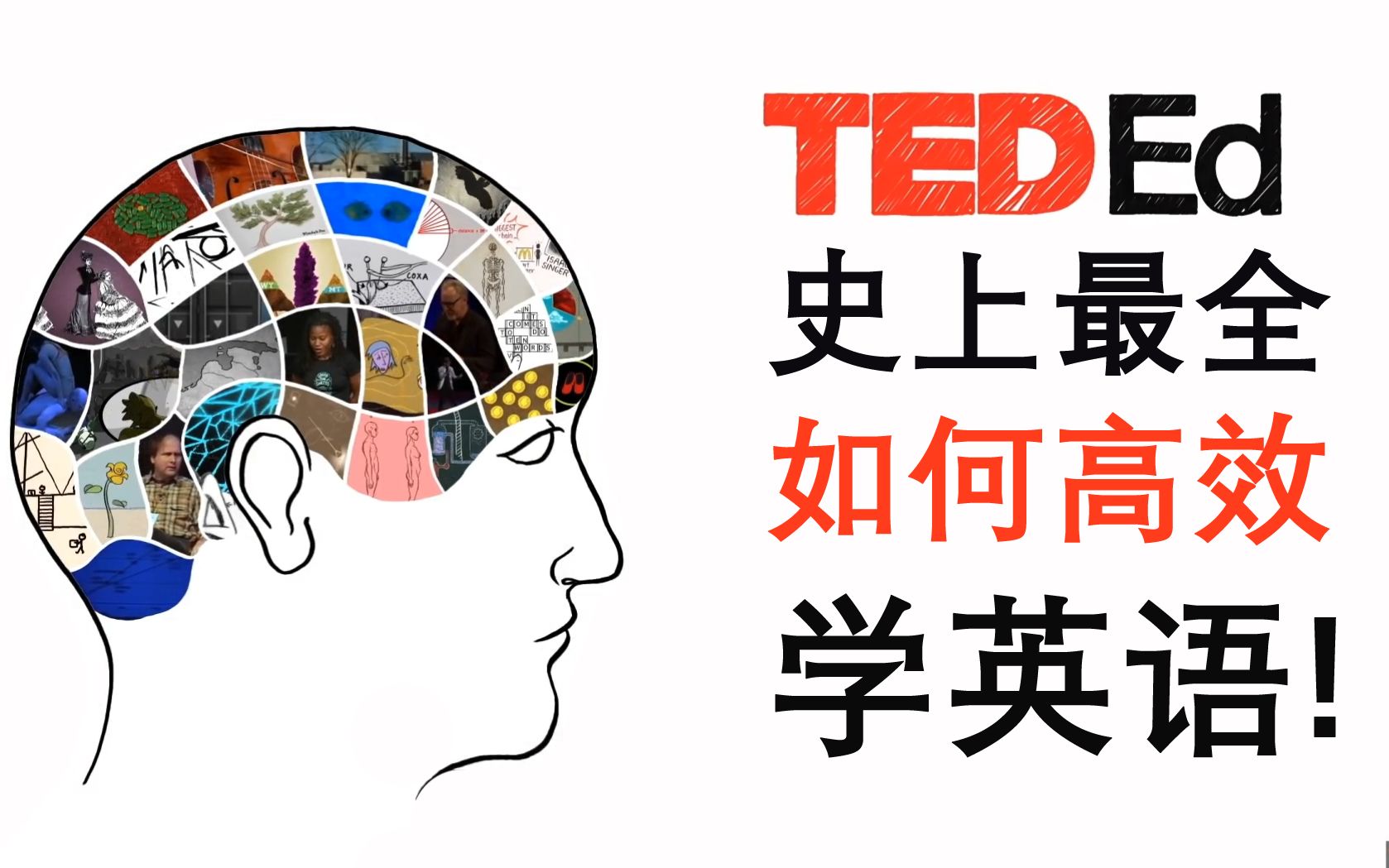 【英语】如何高效的学习一门语言?||TED Lesson哔哩哔哩bilibili