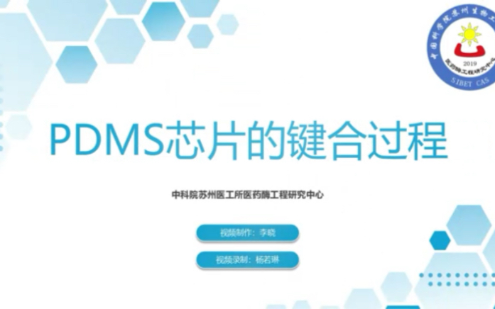 PDMS芯片的键合哔哩哔哩bilibili