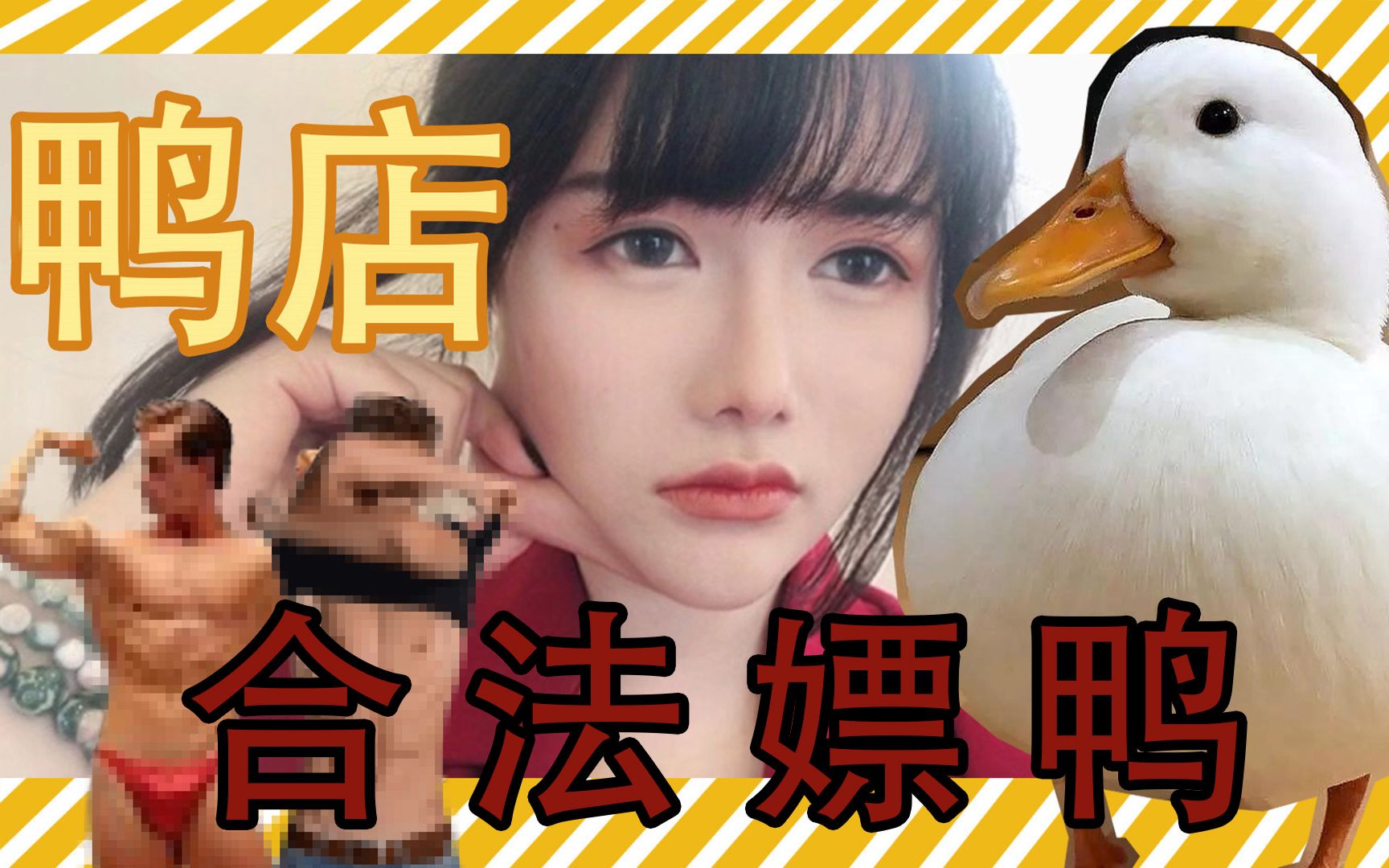 合法嫖鸭!身价过万的鸭子们|鸭咖体验vlog哔哩哔哩bilibili