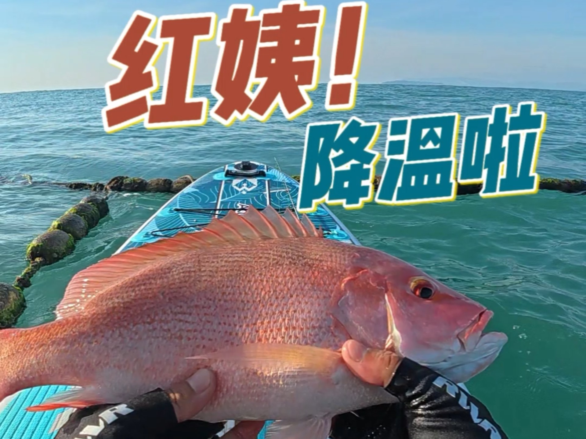 降温啦！海南的钓鱼佬也能吹上西伯利亚冷空气了-陈师傅路亚-陈师傅路亚-哔哩哔哩视频