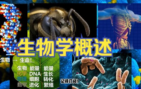 生物学概述 | 生物学哔哩哔哩bilibili