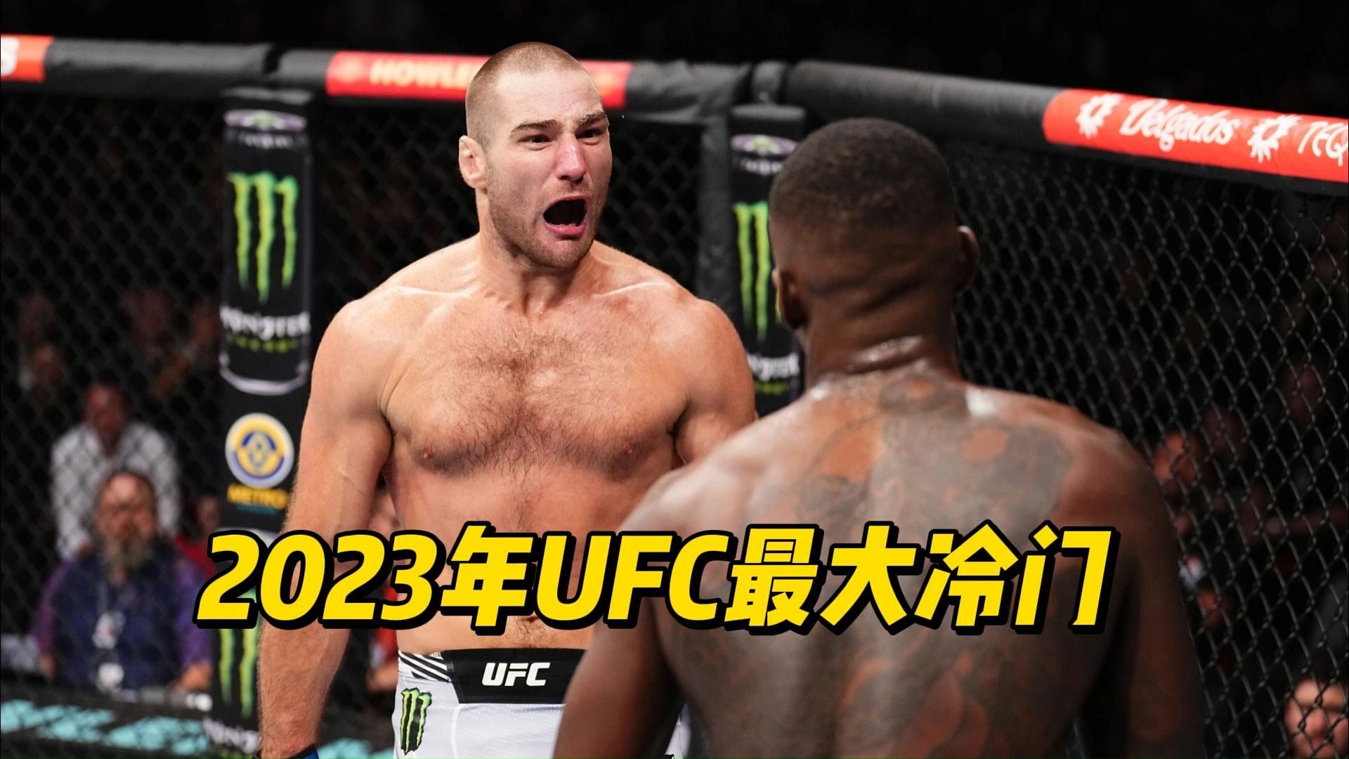 2023年UFC最大冷门比赛,你觉得是哪一场?哔哩哔哩bilibili