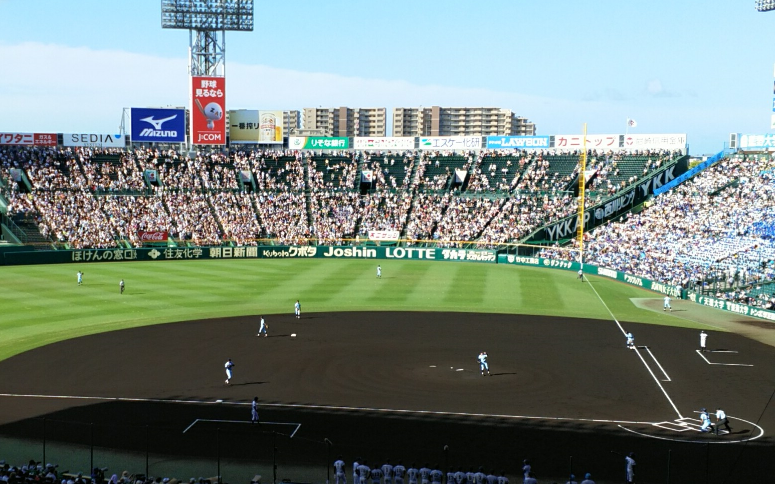 春季甲子园直播计划