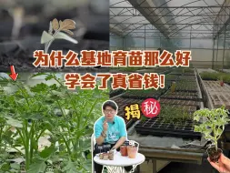 Video herunterladen: 如何育出基地品质的好苗子？|育苗超全细节揭秘