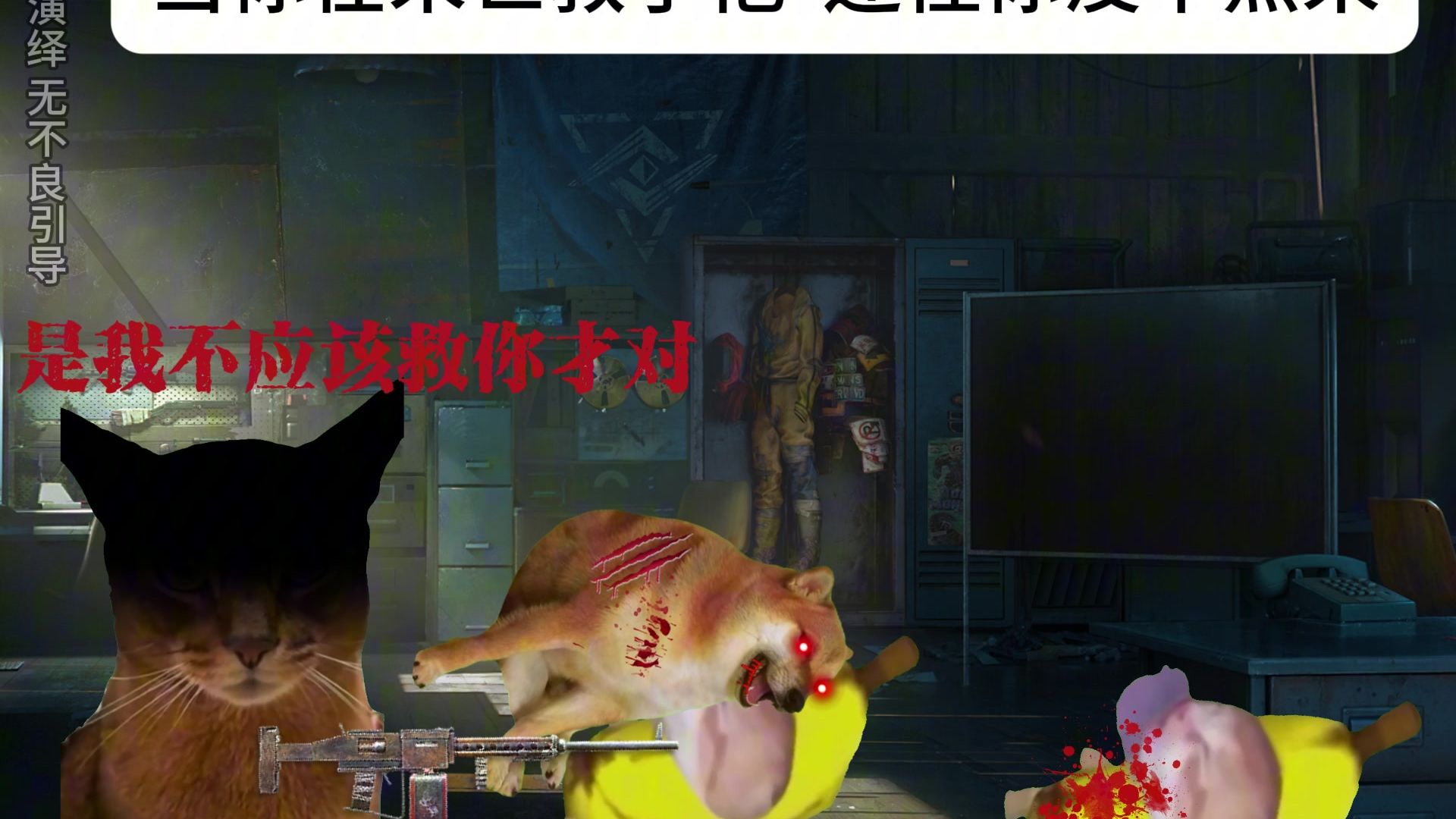 当你救了他们却还怪你没早点来