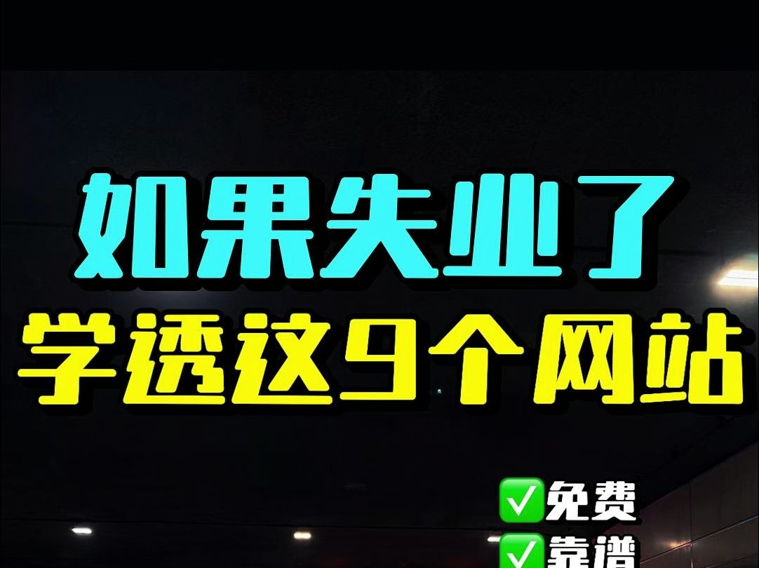 失业不想上班的兄弟!请学透这4个宝藏网站哔哩哔哩bilibili