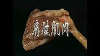 艾氏解剖｜肩肱肌肉