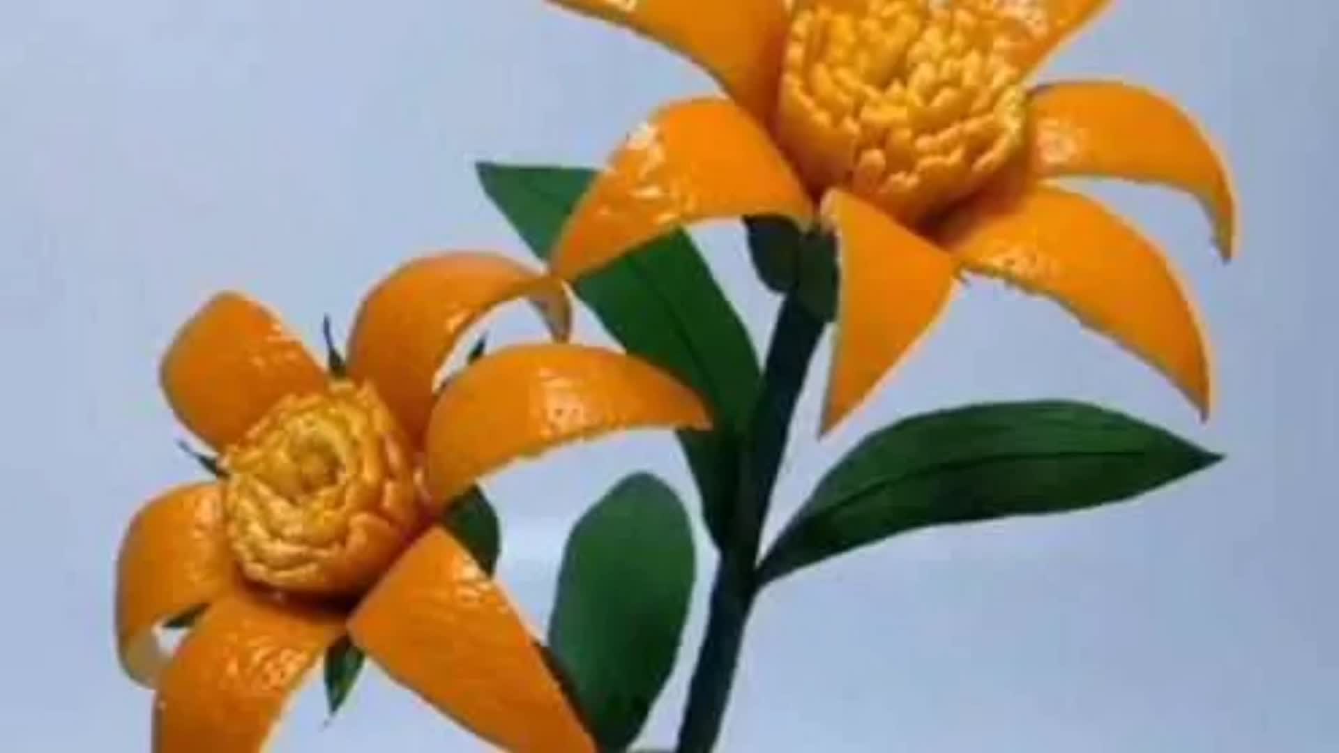 橙子皮制作手工作品