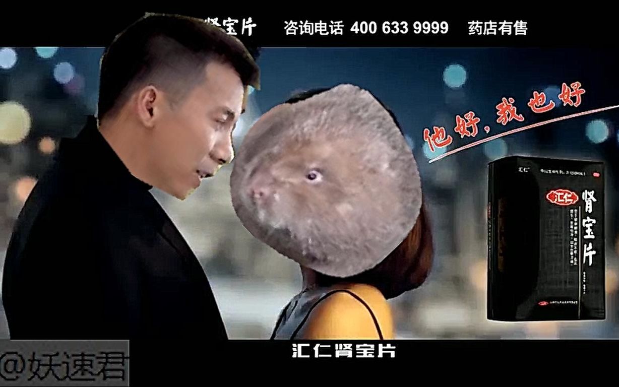 华农兄弟的竹鼠也开始代言肾宝啦