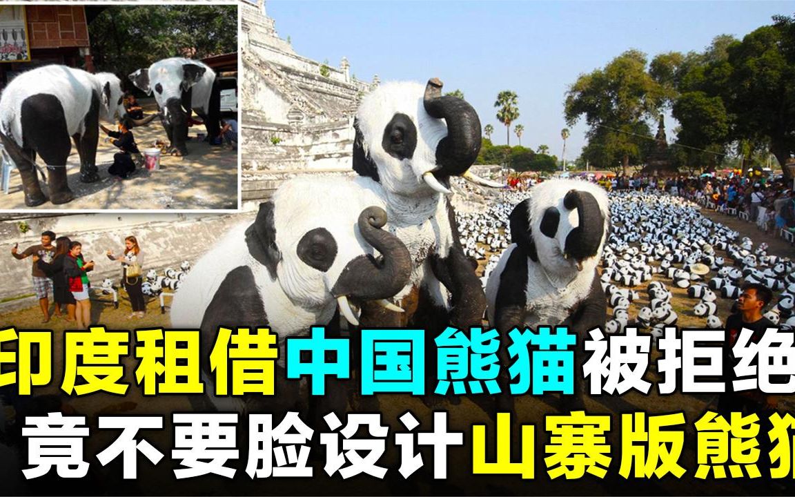 印度租借大熊猫被拒,回家把大象鳄鱼染成黑白色,网友:不像样!