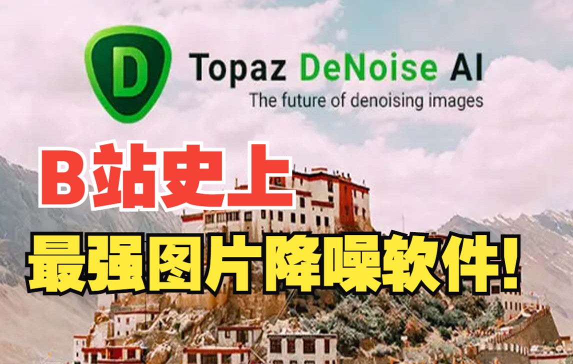 【爆赞!!!】人工智能图片降噪最强软件Topaz Labs DeNoise AI 3.6.0,必备软件!哔哩哔哩bilibili