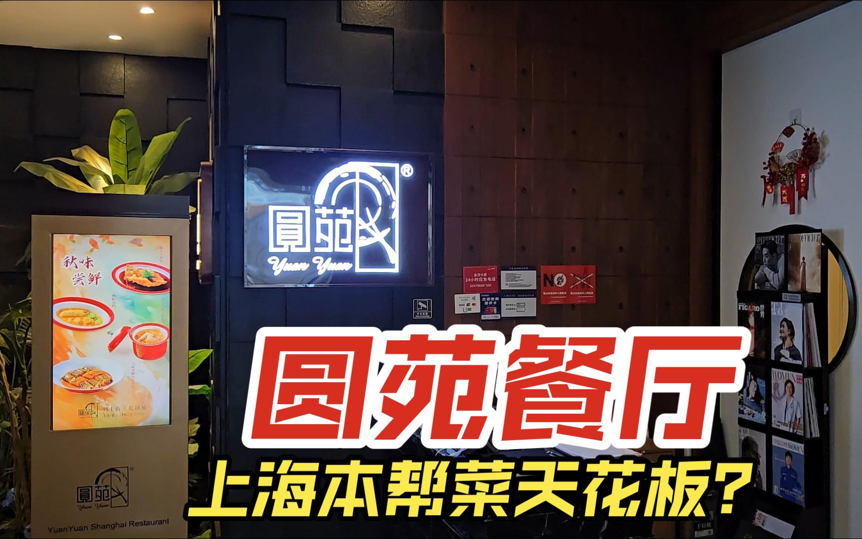 【日常】vlog200 上海圆苑餐厅陆家嘴金贸大厦店,听说是本帮菜的