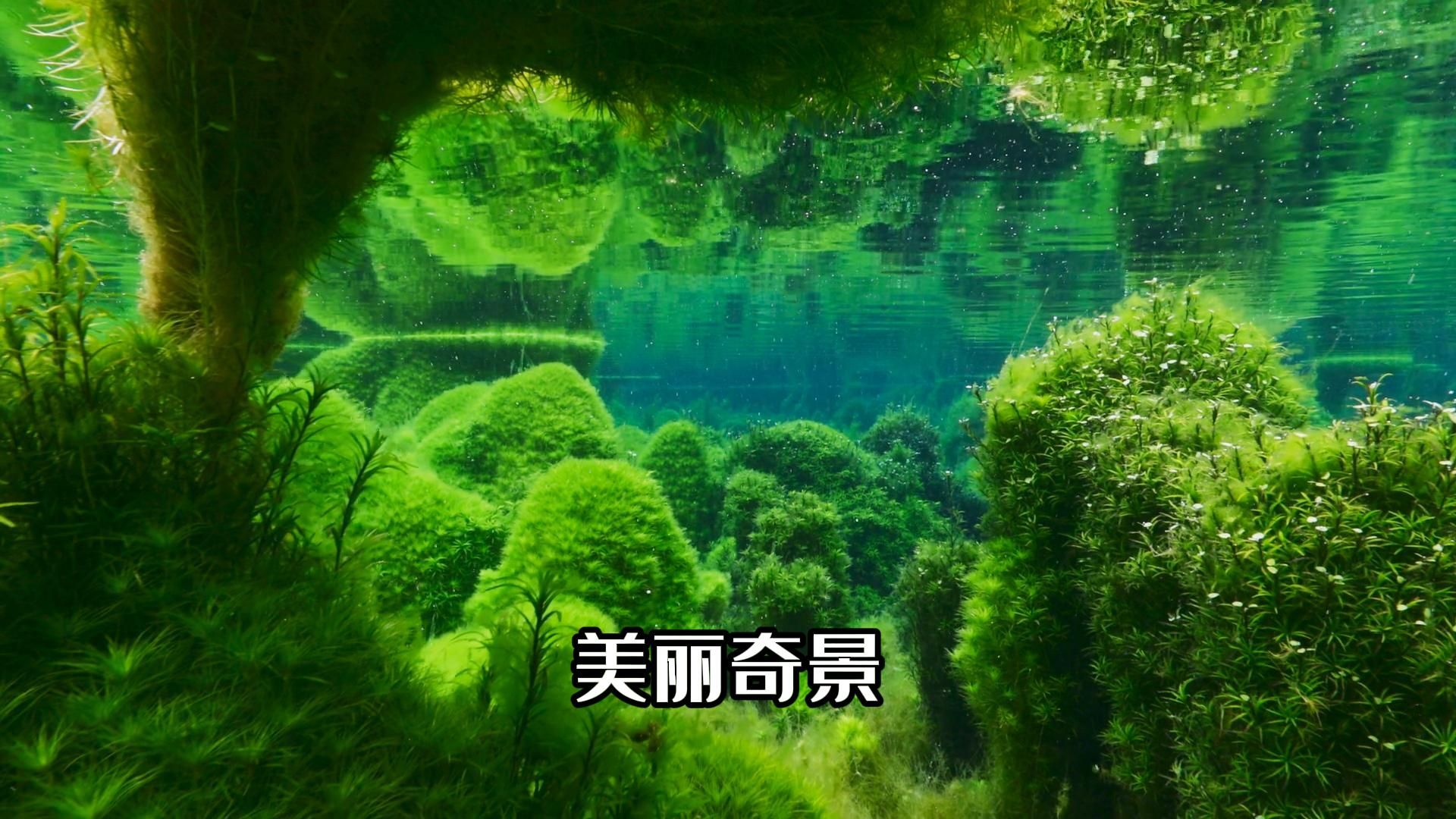 大自然的美景 每一帧都是画哔哩哔哩bilibili