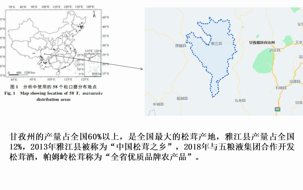 地理大阅读系列之松茸逆袭记哔哩哔哩bilibili