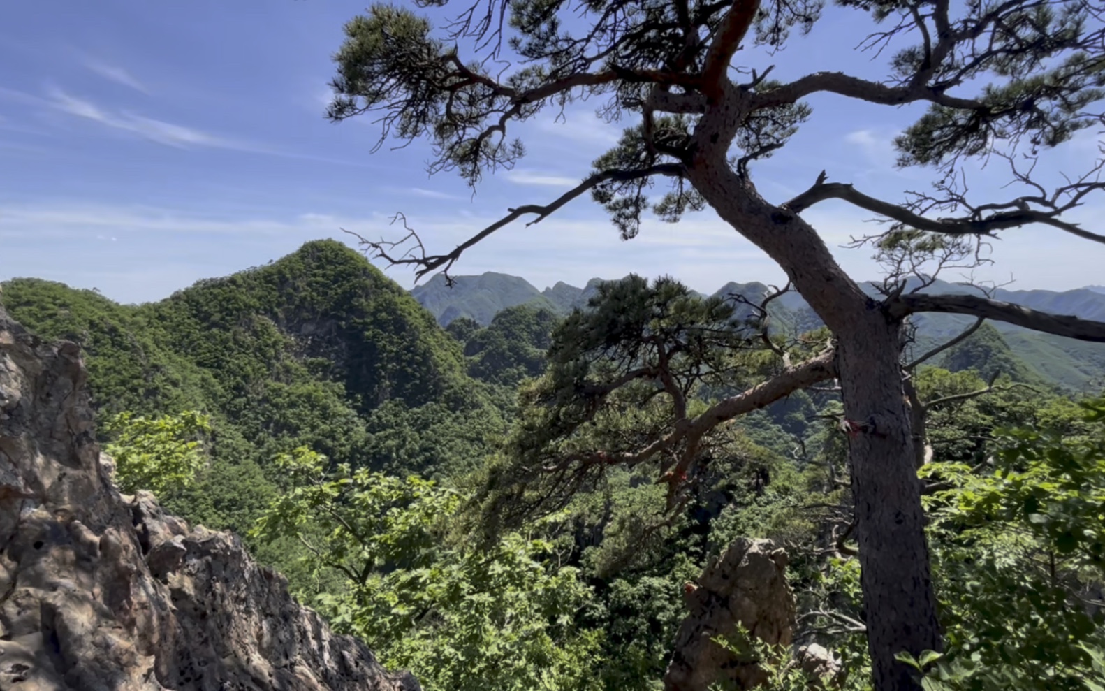 去不了张家界,可以打卡大连天门山森林公园,不会后悔的一次旅行