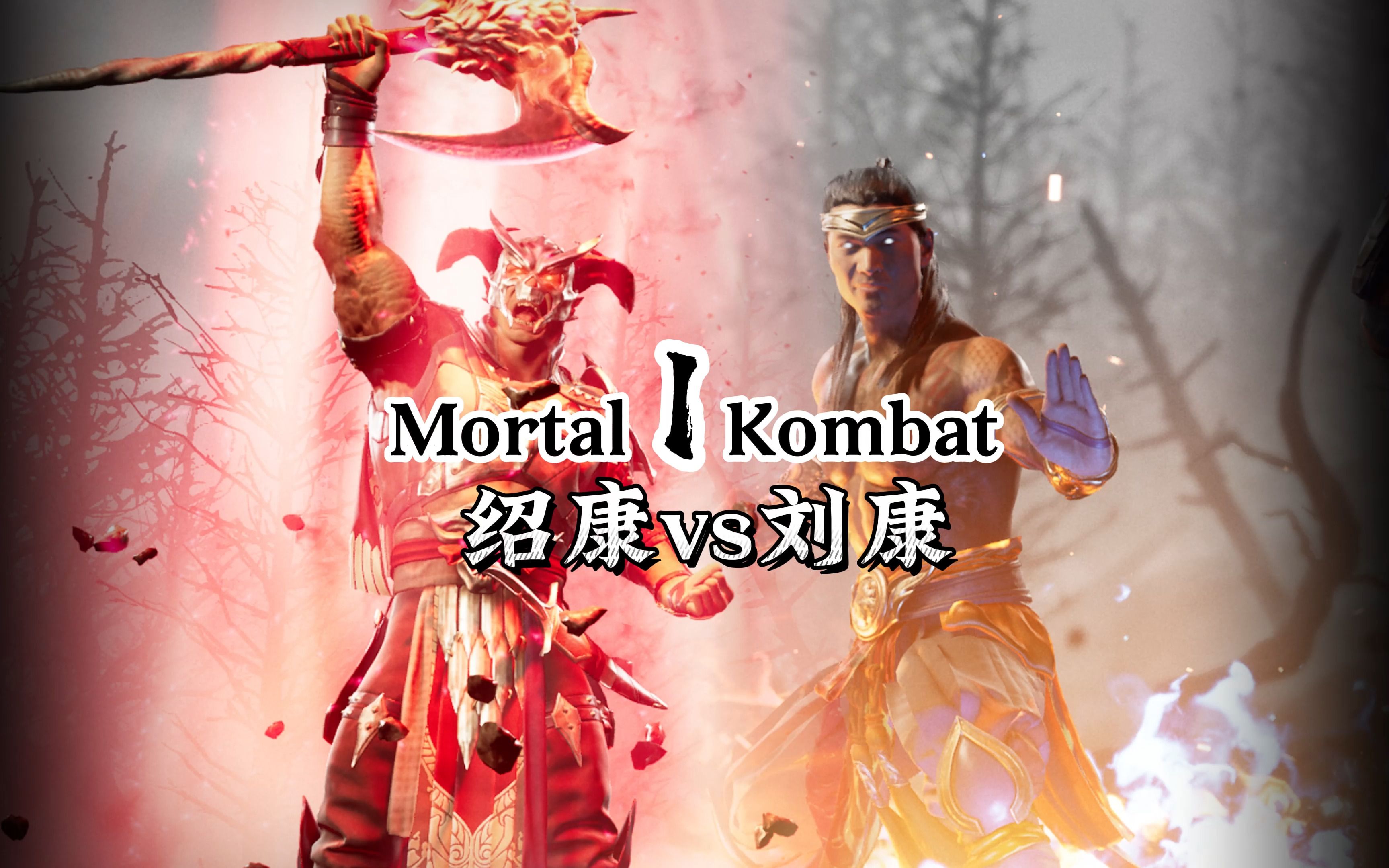 真人快打1:刘康vs绍康(玩家排位赛)第一赛季-真人快打-11酱-真人快打-11酱-哔哩哔哩视频