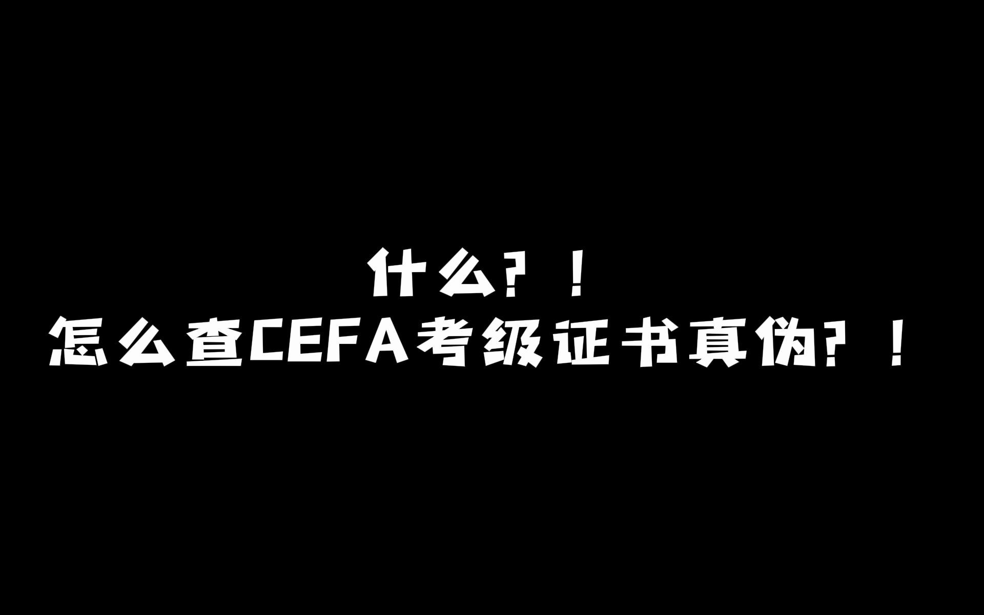 CEFA考级证书查询哔哩哔哩bilibili