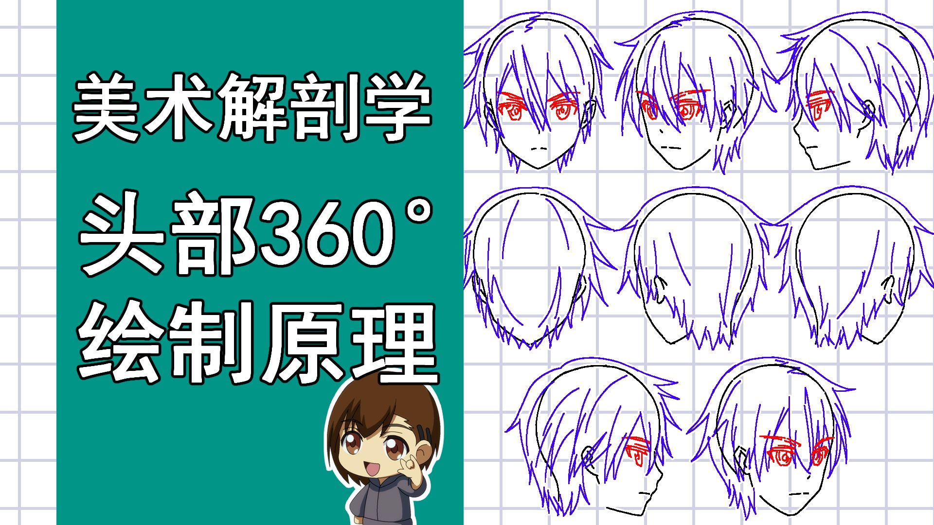 美术解剖学-33-头部360度旋转绘制原理