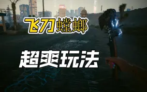 Download Video: 【赛博朋克2077】2.1版本超爽飞刀螳螂玩法（附加点）