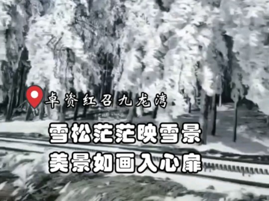 ＂雪松茫茫映雪景,美丽如画入心扉 卓资县红召九龙湾哔哩哔哩bilibili