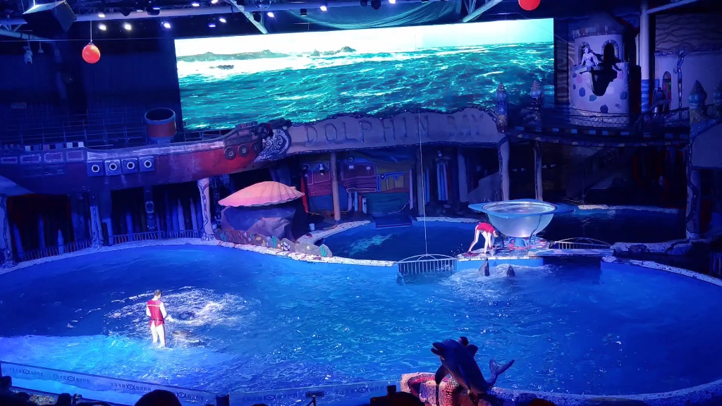 大连圣亚海洋馆海豚湾之恋表演