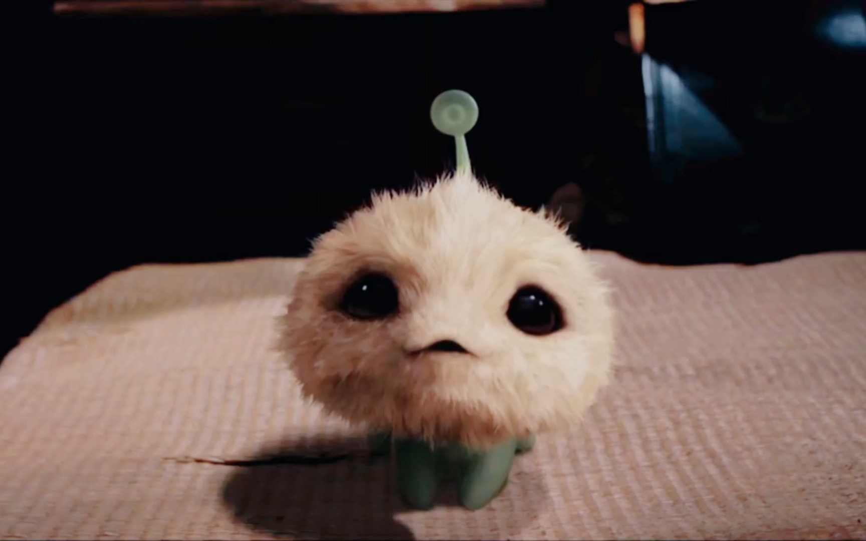 小时候你是不是也想拥有一只七仔2