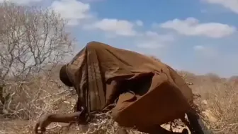 奇特的午睡方式