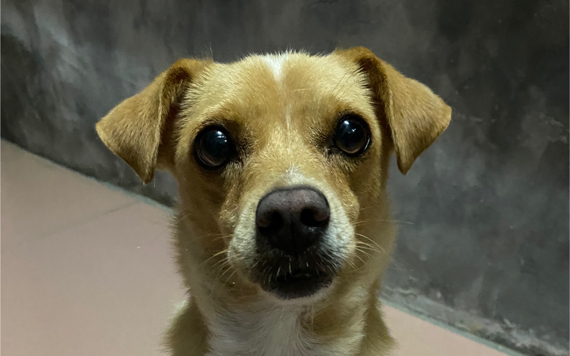 活动  到底是谁弄的!豆丁:是我 怎样