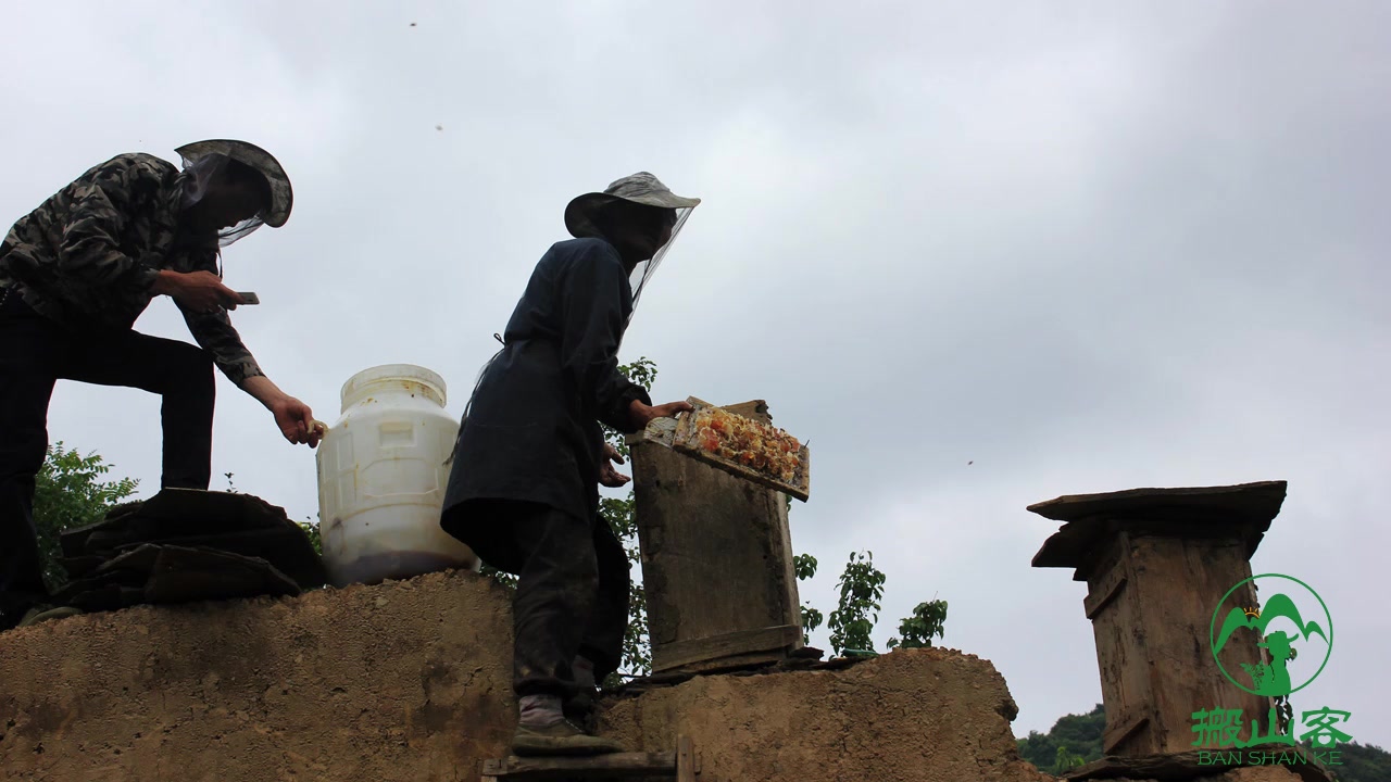 搬山客——土蜂蜜,润唇膏,香菇_哔哩哔哩_bilibili