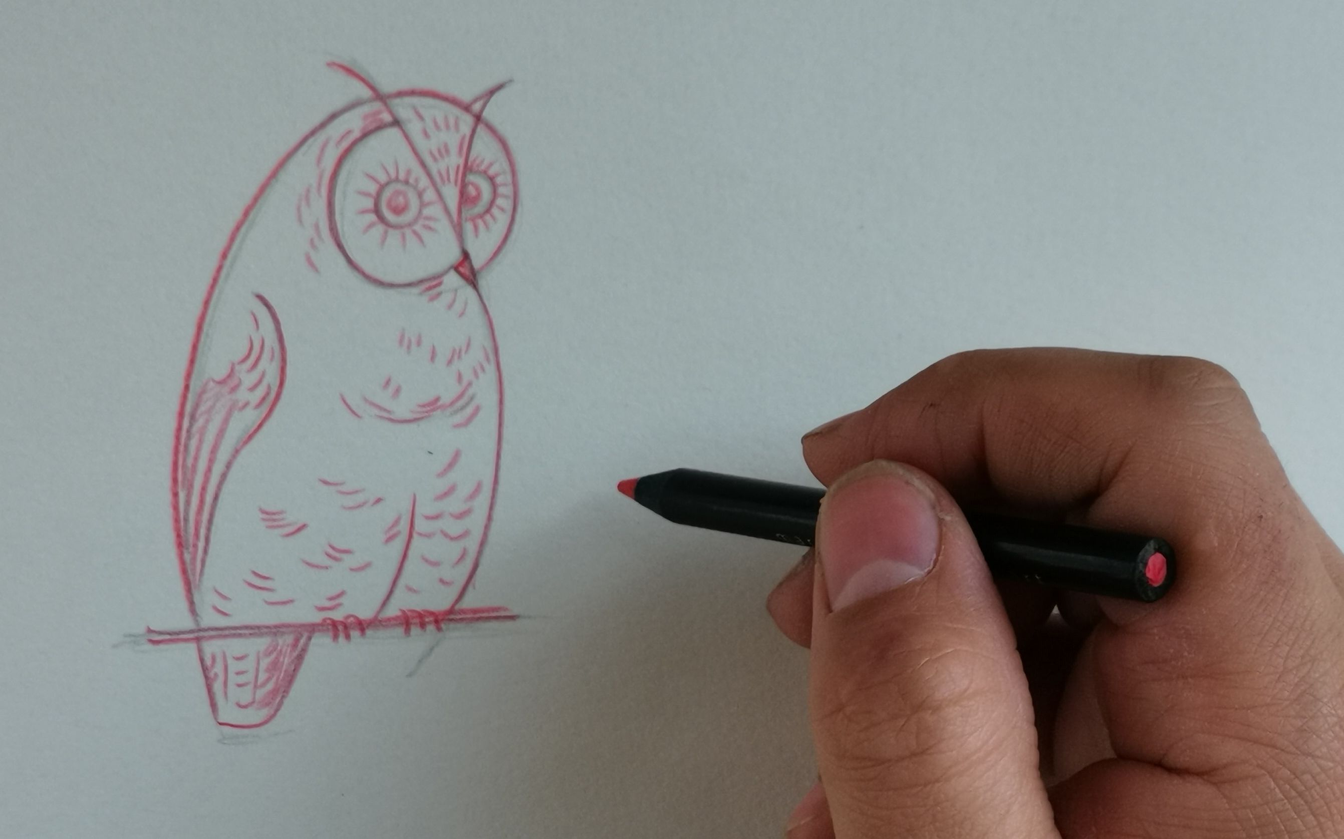 活动作品铅笔手绘简易猫头鹰