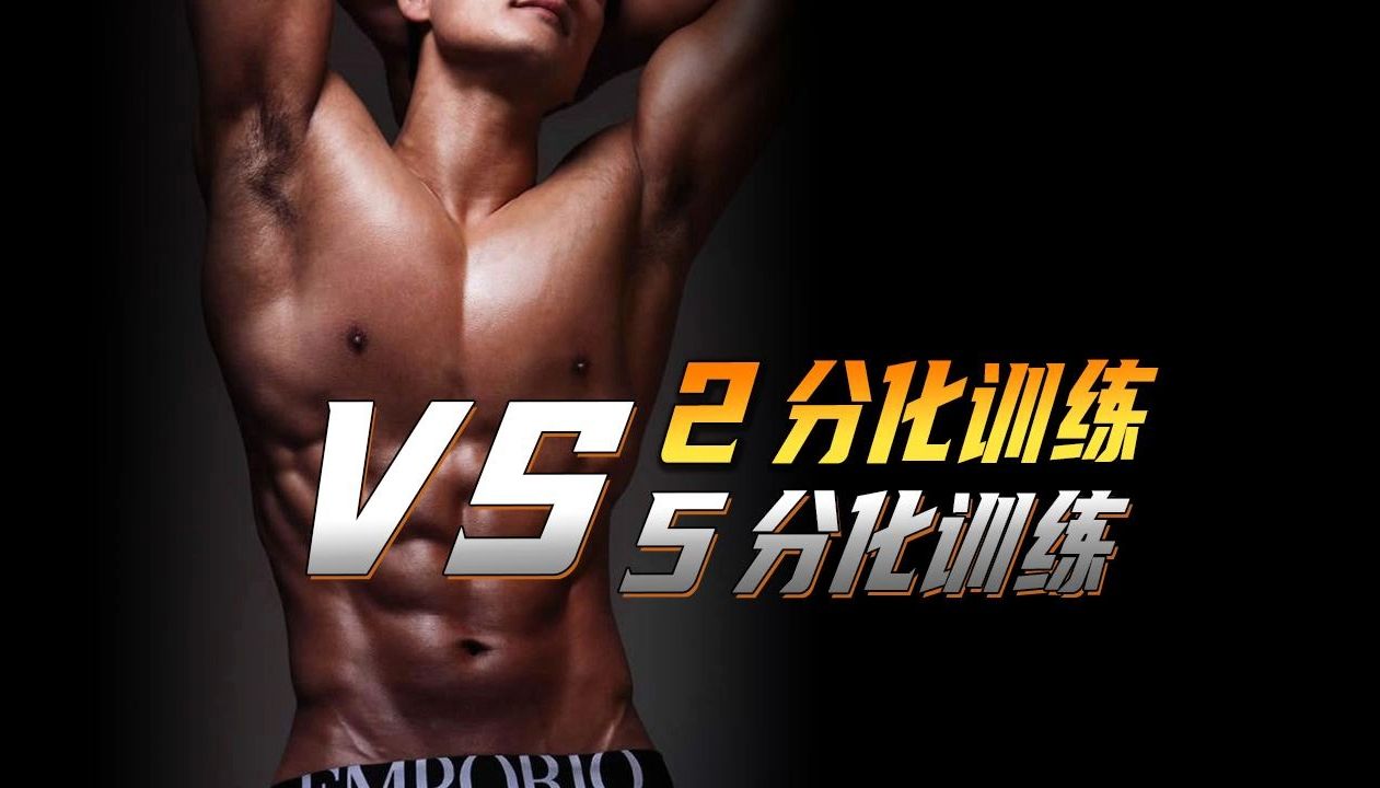 2分化训练VS5分化训练?哔哩哔哩bilibili