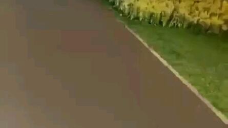 9月6日凌晨3时左右 海口青年路美苑路交口 几个年轻仔骑改装车飙车 其中一个摔下来被一轿车踩到 致其死亡 危险动作请勿模仿 哔哩哔哩