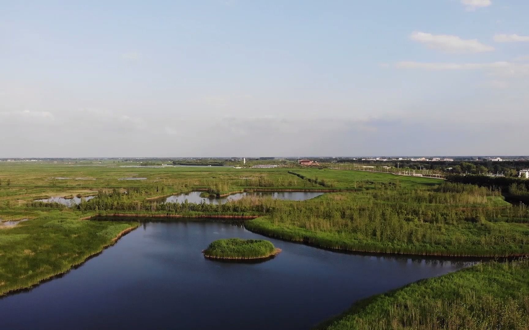 白洋淀长廊&白洋淀景区 02鸟瞰白洋淀芦苇荡