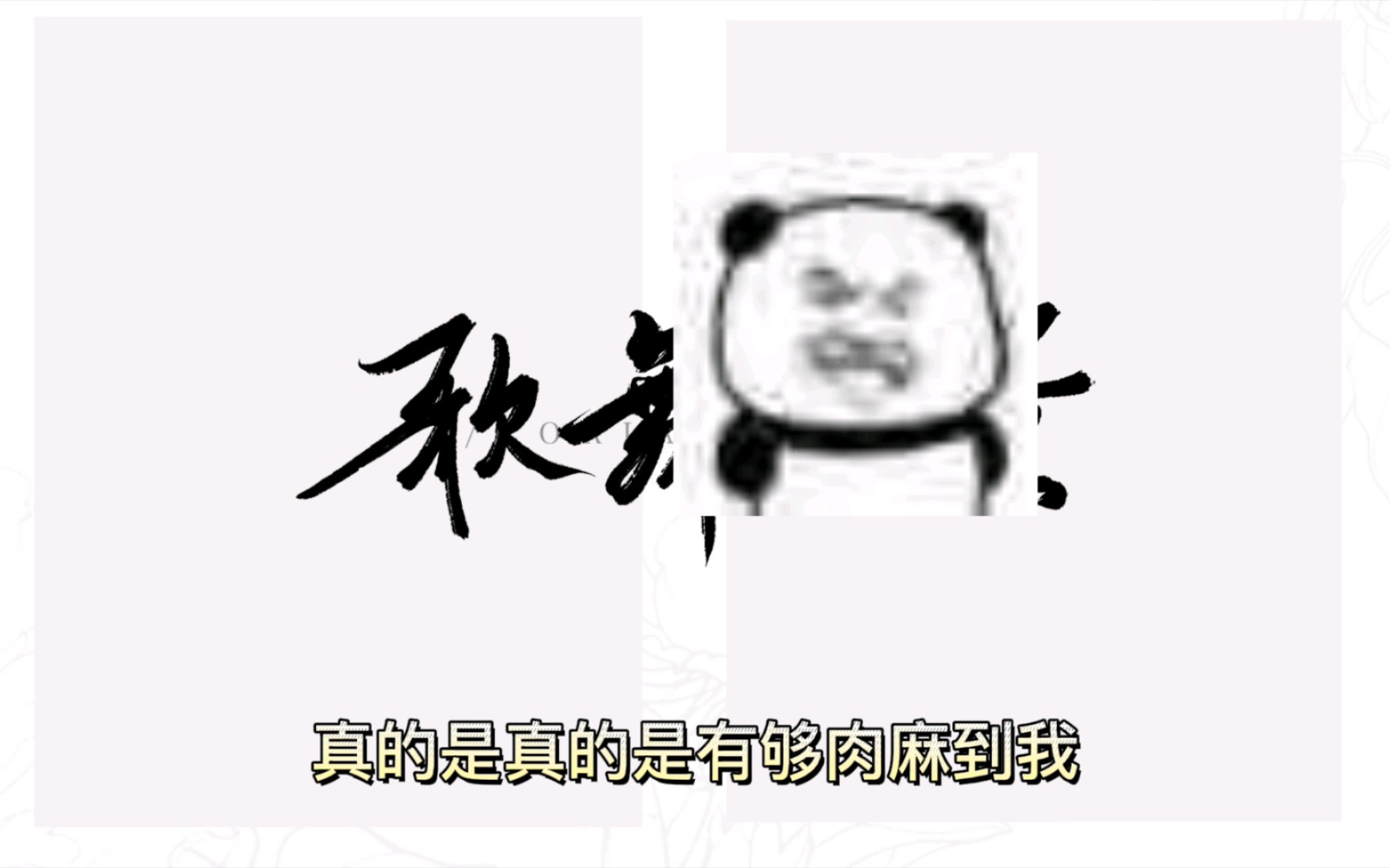 真的受不鸟哔哩哔哩bilibili