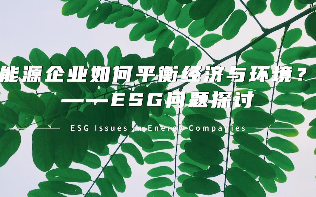 #安永ESG创新挑战赛 能源企业如何平衡经济与环境?——ESG问题探讨哔哩哔哩bilibili