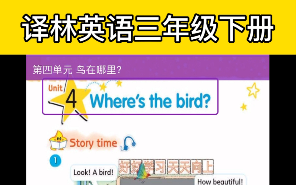 [图]苏教版译林英语三年下册Unit 4 Where’s the bird? 课文朗读和翻译。👍翻译在视频左上角哦！☺️💯#译林版英语 #译林英语三下