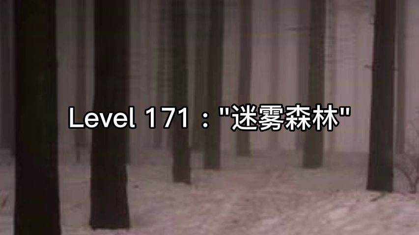 Level 171 : "迷雾森林",黑暗的迷雾和永无积雪的冬季林地哔哩哔哩bilibili