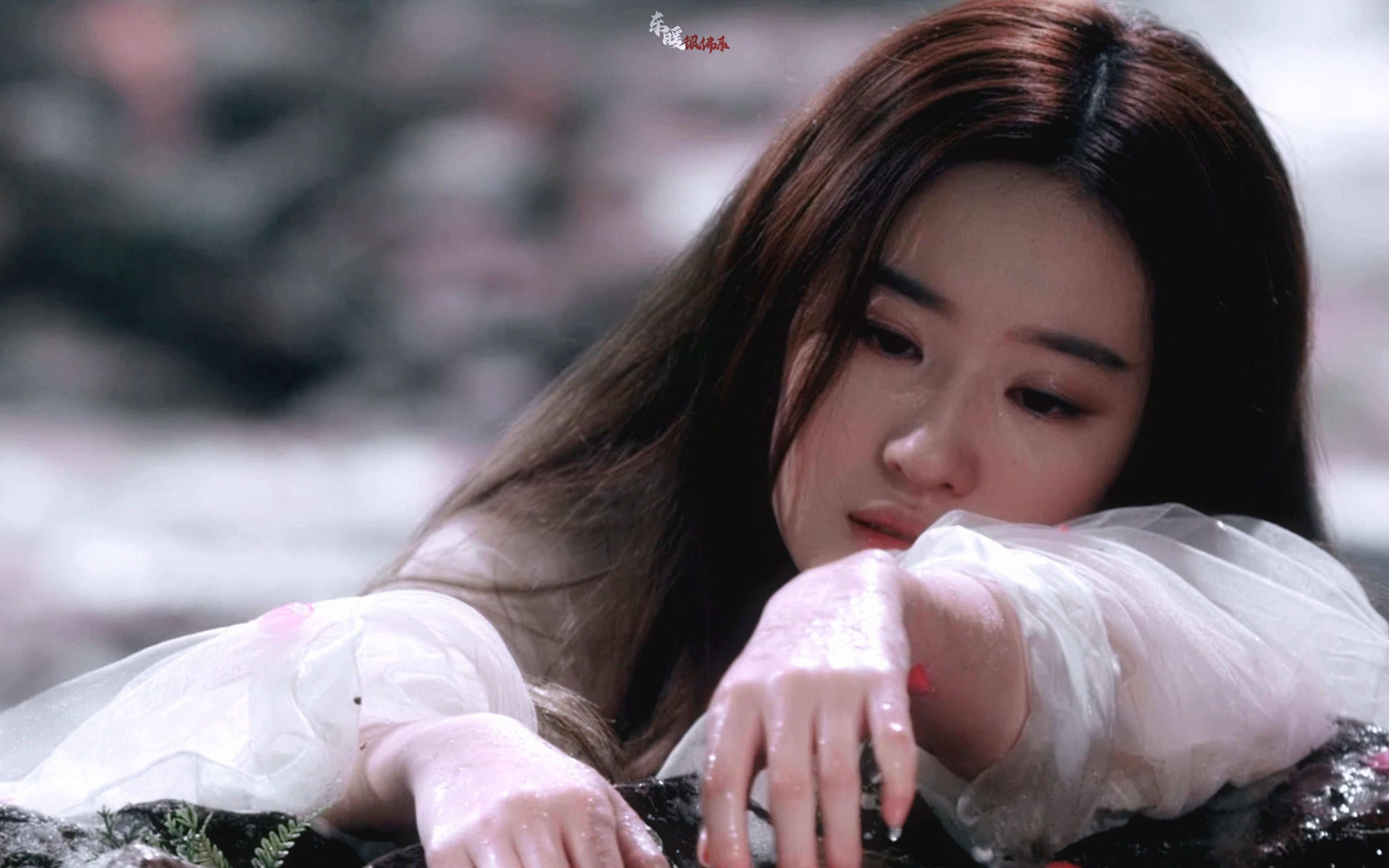 【刘亦菲】据说她是当年被网友票选出来的四海八荒第一美人?